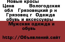 Новые кросы Demix   › Цена ­ 950 - Вологодская обл., Грязовецкий р-н, Грязовец г. Одежда, обувь и аксессуары » Мужская одежда и обувь   